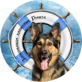 Канал   Зоокоманда капитана Гранта