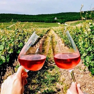 Канал   ВИННЫЙ ТУРизм🍇