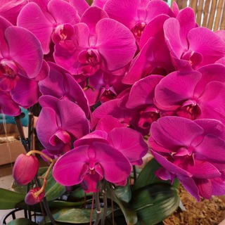 Канал   My Cross Stitch Inspiration🪡