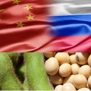 Канал   China Oilseeds