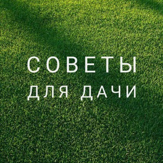 Канал   Дачные советы🏡