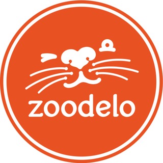 Канал   ZOODELO
