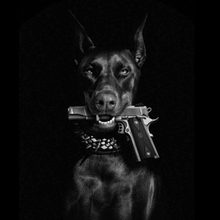 Канал   ◾️TemnayaStorona◾️