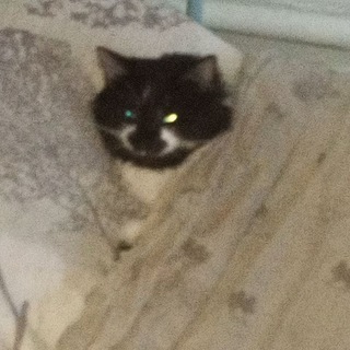 Канал   Все обо всем