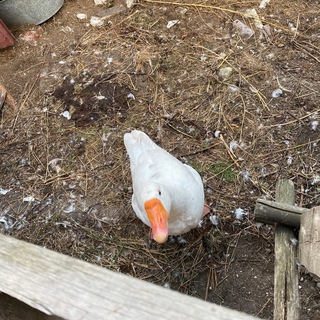 Канал   Мама, я не вкурила