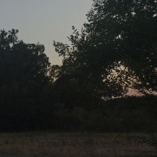 Канал   User diary