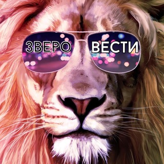 Канал   Зверовести 🐱 новости о животных