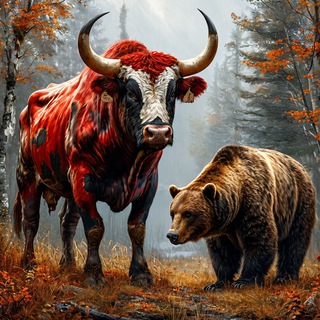 Канал   Observer LTCUSDT Binance