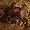 Канал Синие занавески