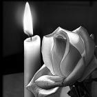 Канал Любовные привороты Ведьмы Алины