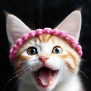 Канал   🐶🐱🐰Забавные и милые животные