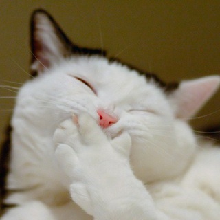 Канал   Смех каждый день