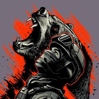 Канал   Медведь | СВО 🇷🇺