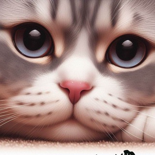 Канал   Животные, которые любят