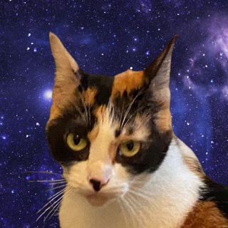 Канал   Гриш English?