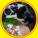 Канал По жизни с собакой