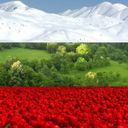 Канал Болгария: новости, границы и соседи