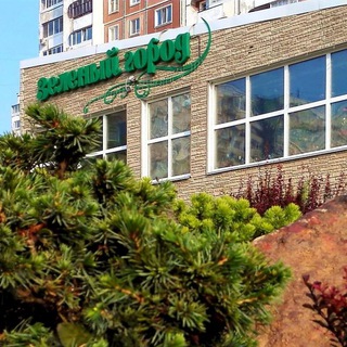 Канал   Зелёный город, Хабаровск