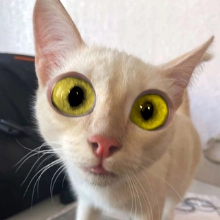 Канал   ПростоКопецк!