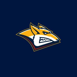 Канал   Стальной лис