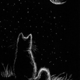 Канал   ~~Empty_thoughts_~