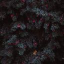 Канал 4К Обои