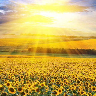 Канал   Шанс на счастье💥