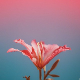 Канал   Азъ есмь