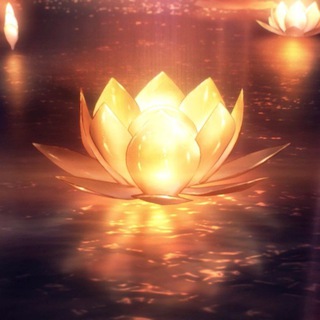 Канал   Зеркало Сути