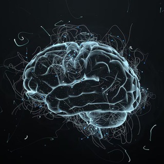 Канал 1000 мыслей | Психология