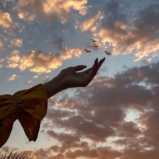 Канал   Творчество Рины🧳🖌🎞️📸