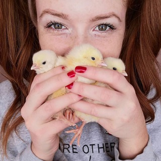 Канал   Рыжий фермер👩🏼‍🌾