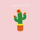 Канал Турецкий тест 