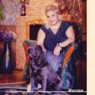 Канал   Шарпеи из питомника Шат Шьюн