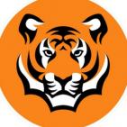 Канал Владивосток 🌇 Новости 🗣 Сейчас | VNS 💎