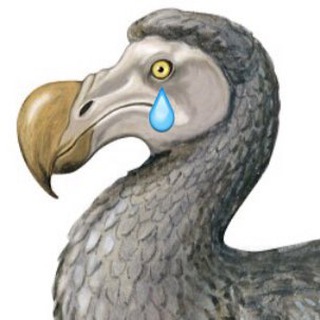 Канал   Экологиня