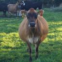 Канал Обратная сторона Земли