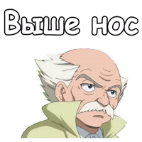 @animesticks  :: Мастер Макаров (Хвост Феи)