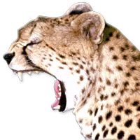 Зевота @NBstickeria 