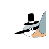 birds @watchingbirds 