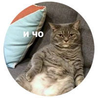 Кусь круглые стикеры