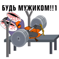 Подозрительная сова