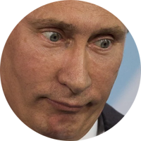 V.V. Putin