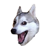 Больные собаки