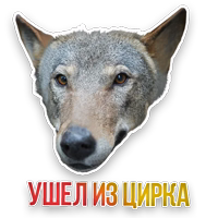 Недомашние животные :: @kgh_moscow 