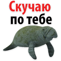 Мишенька ЛАМАНТИН @TuristasTV 