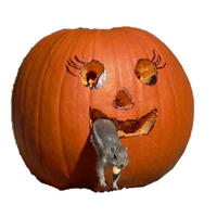 Хэллоуин :: @animesticks 