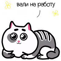 Жиробарсик Classic