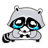 Raccoon_pack_Енотик