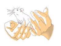 New Year by Stickerathon